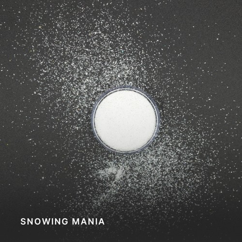Snowing Mania Glitter 10g